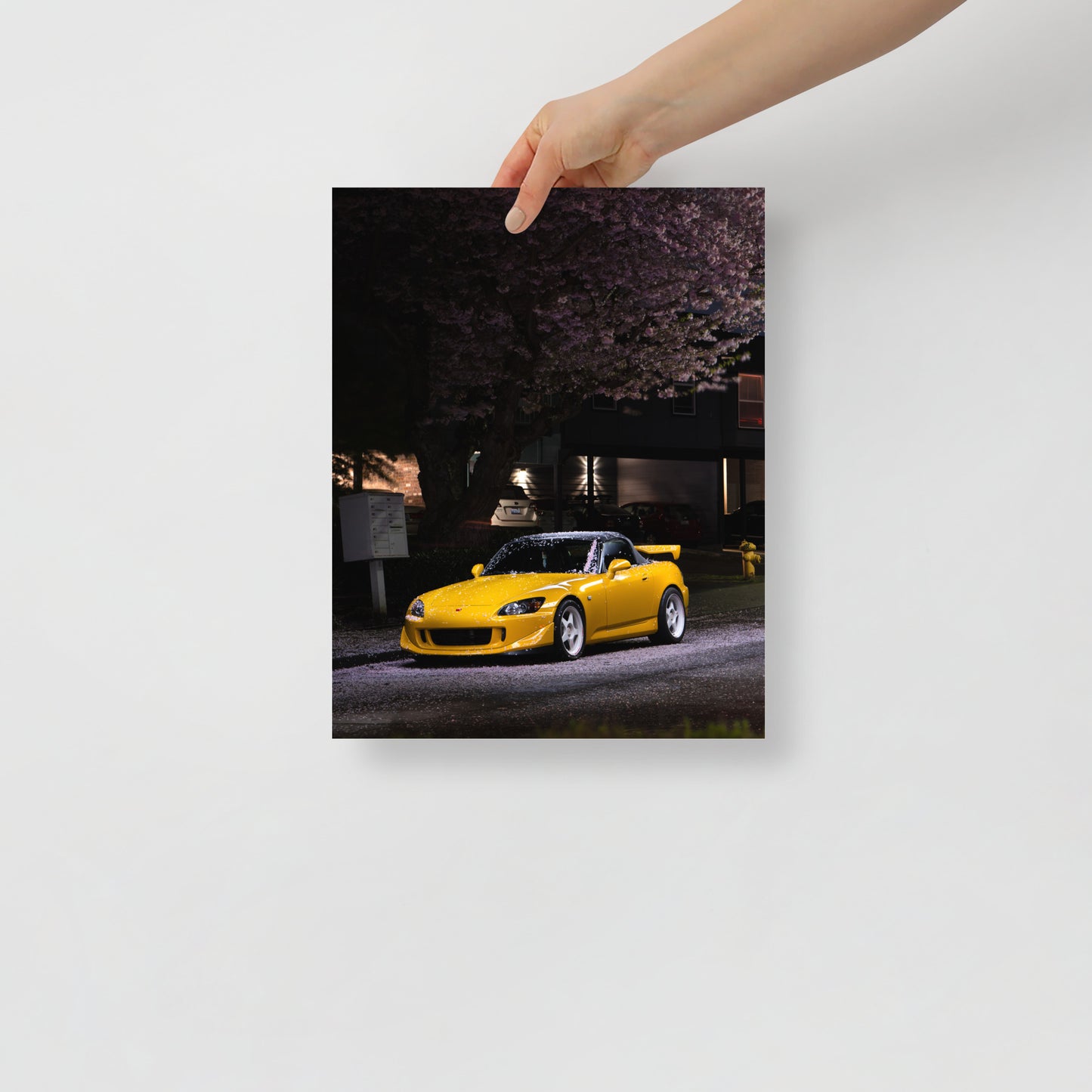 S2000 Cherry Blossom Print