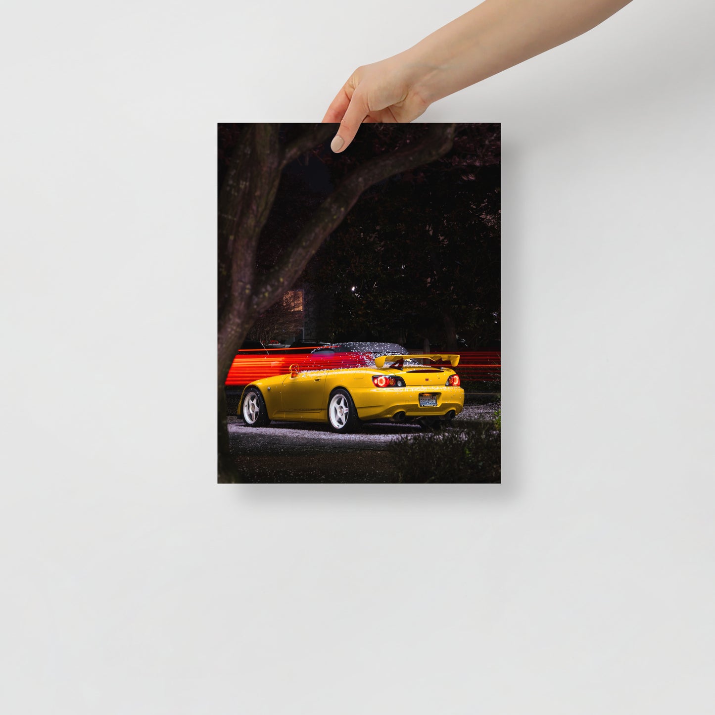 S2000 Cherry Blossom Print