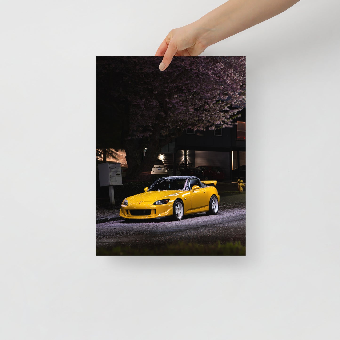 S2000 Cherry Blossom Print