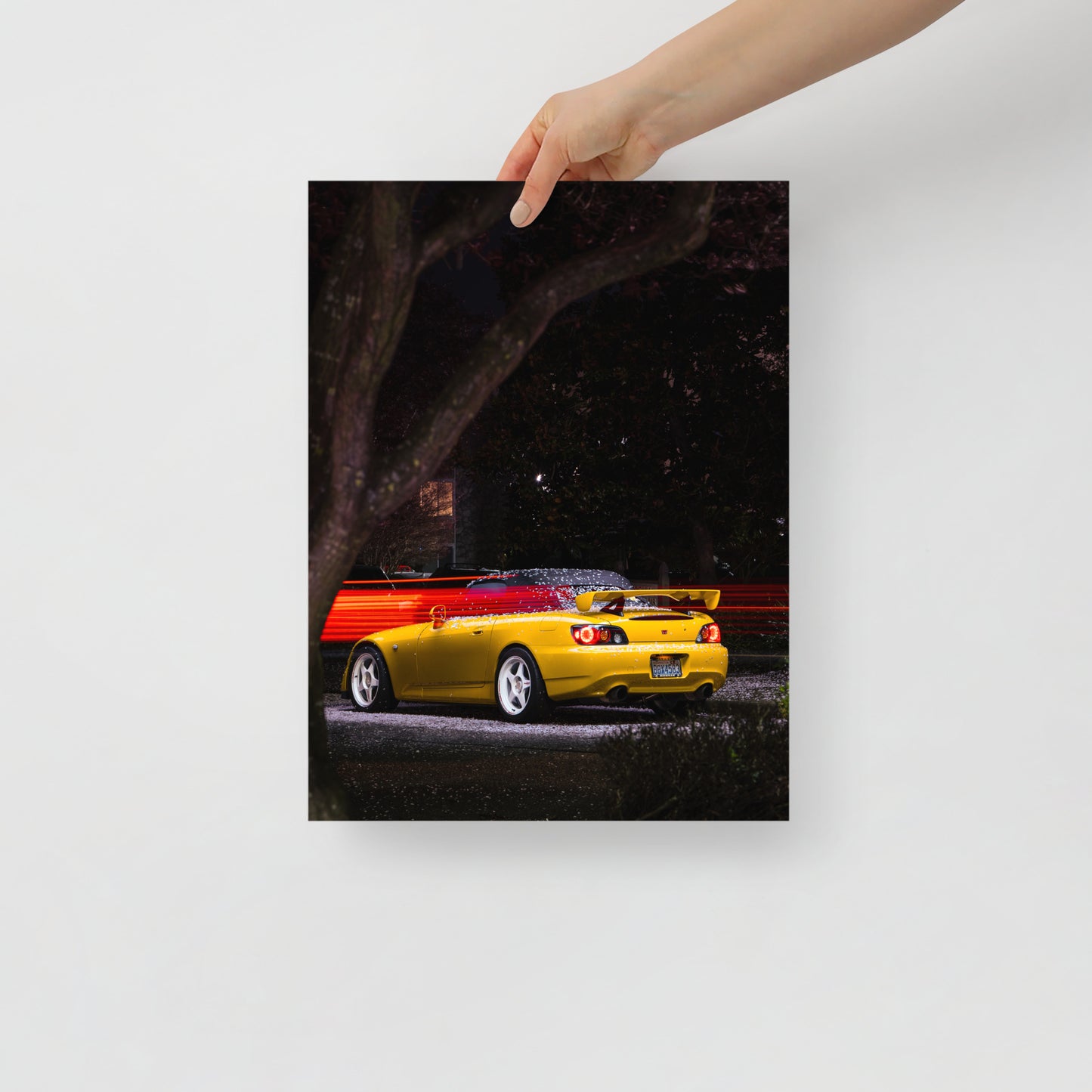 S2000 Cherry Blossom Print