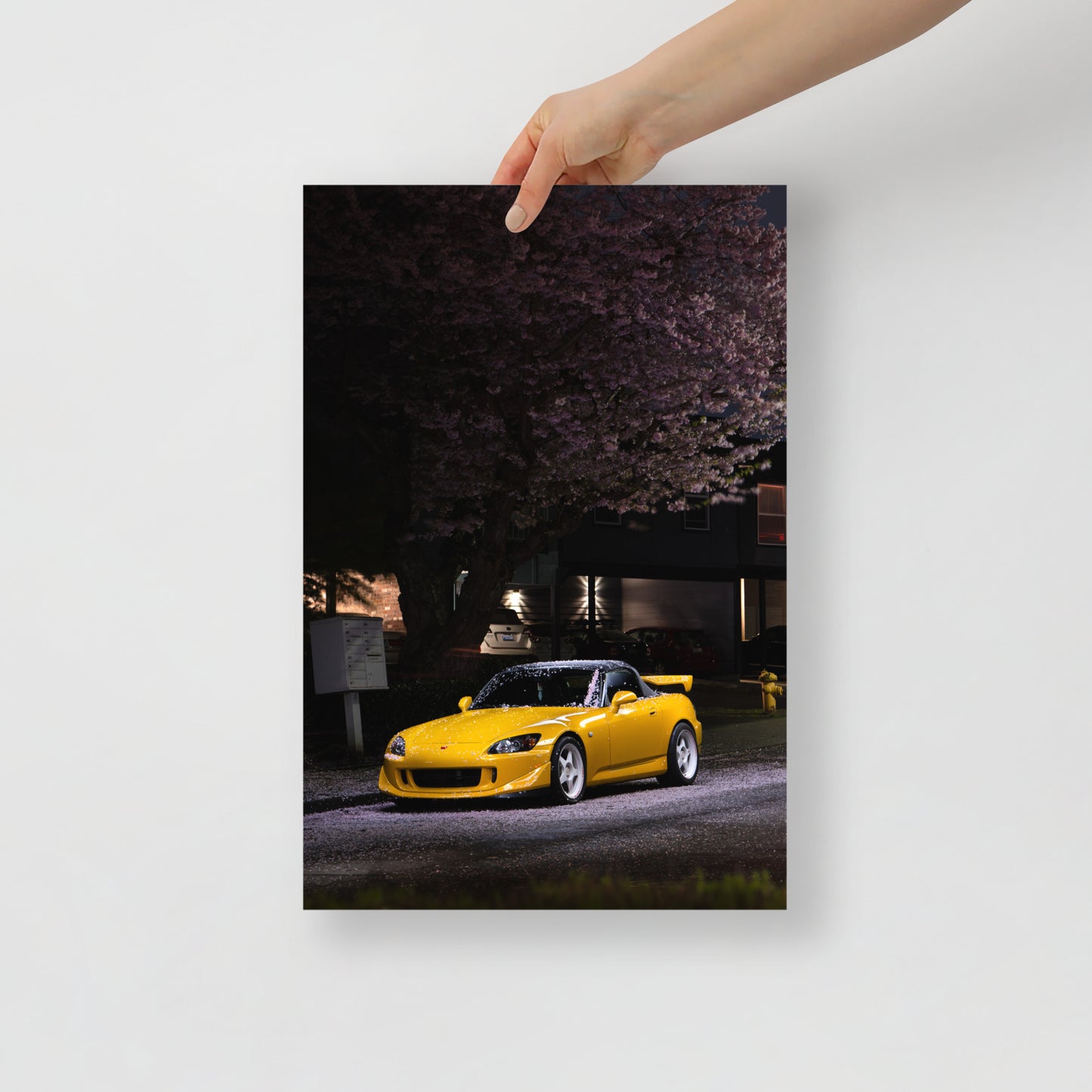 S2000 Cherry Blossom Print