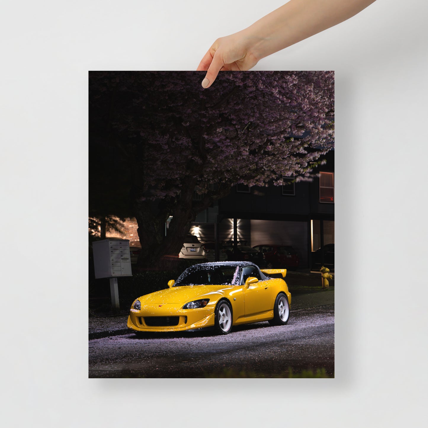 S2000 Cherry Blossom Print