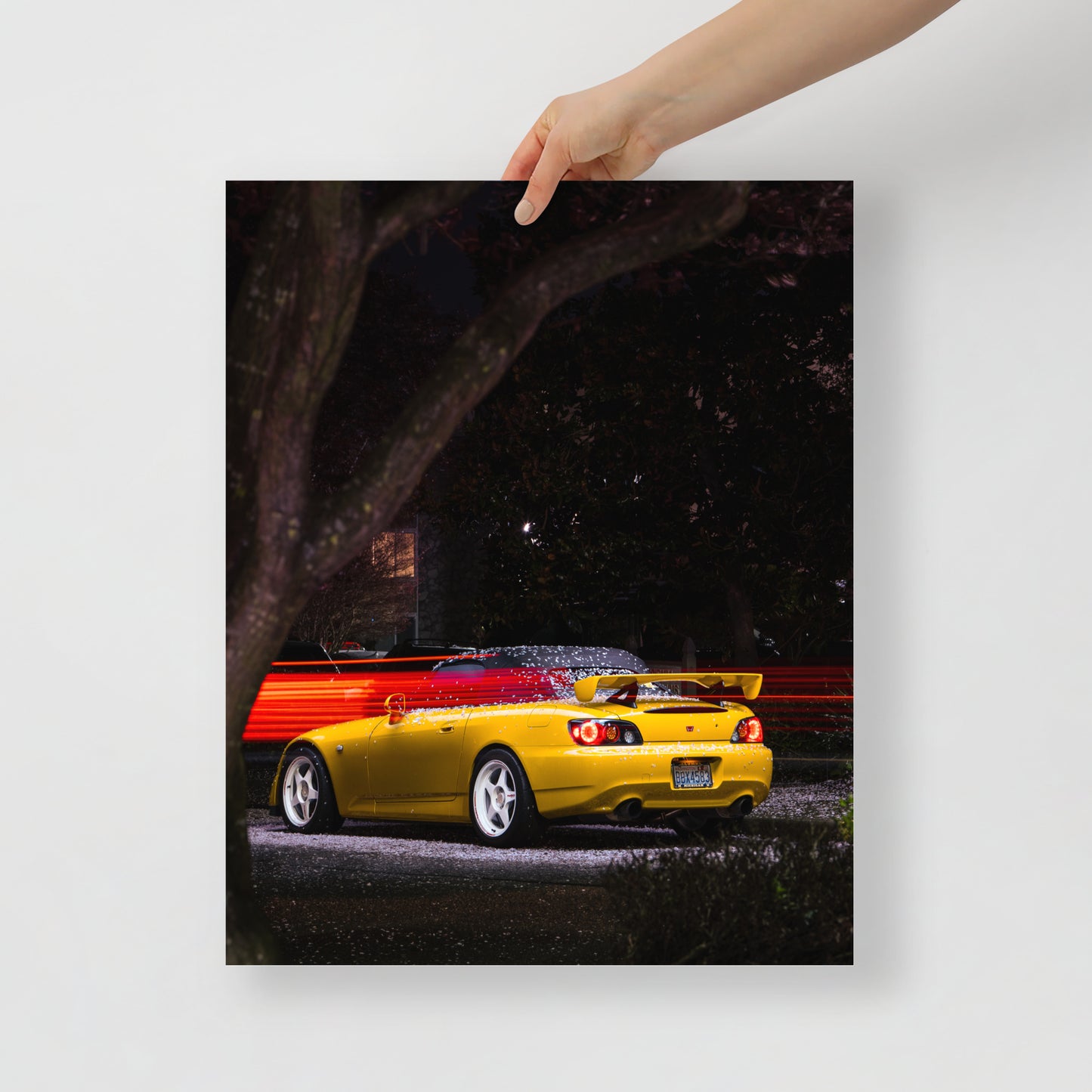 S2000 Cherry Blossom Print