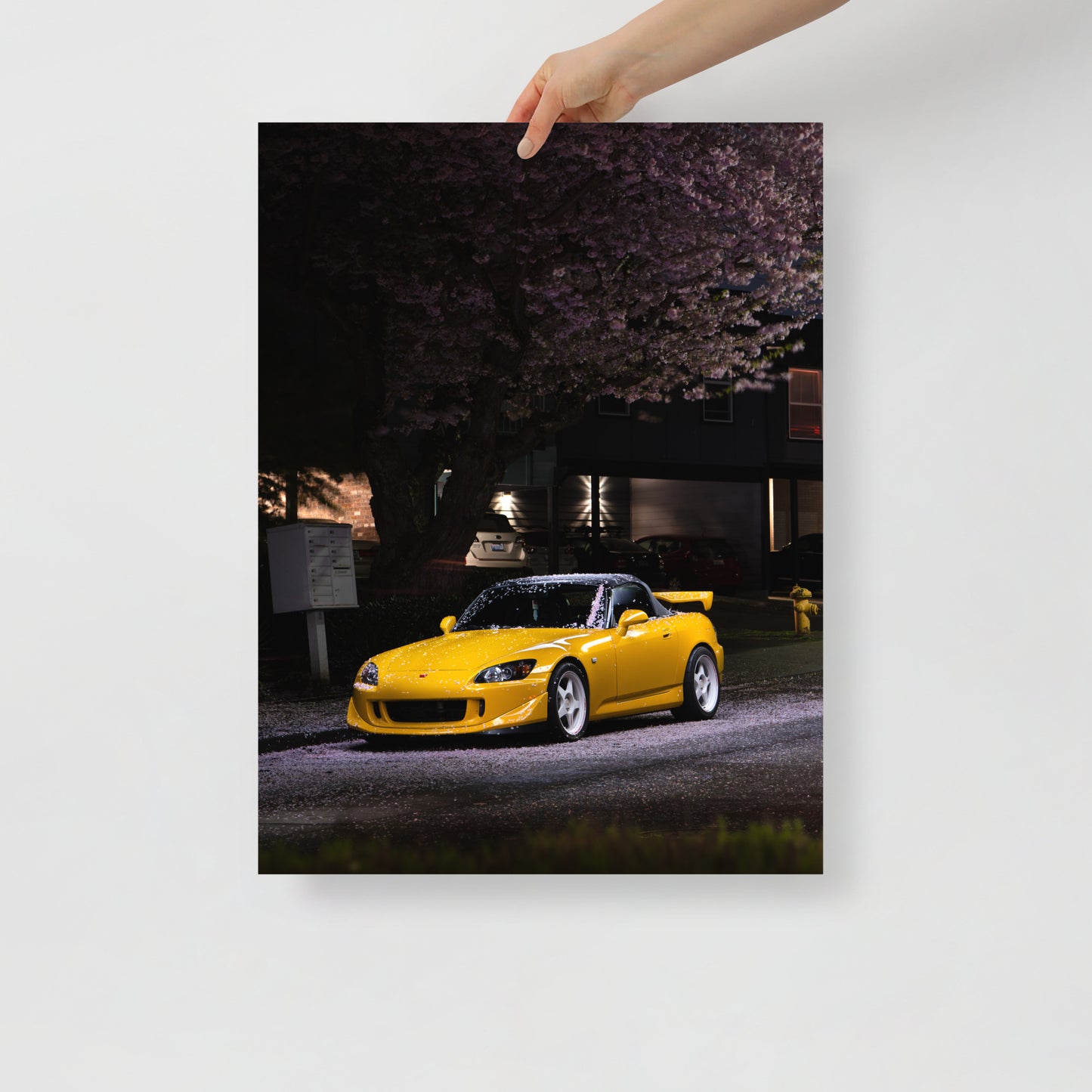 S2000 Cherry Blossom Print