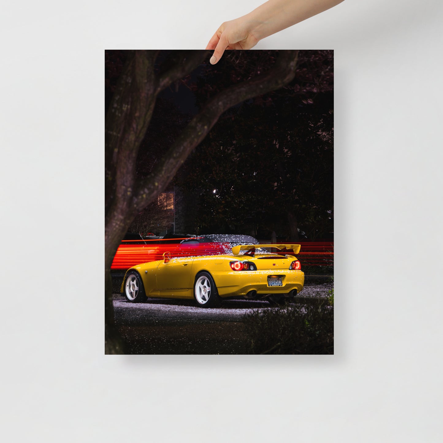 S2000 Cherry Blossom Print