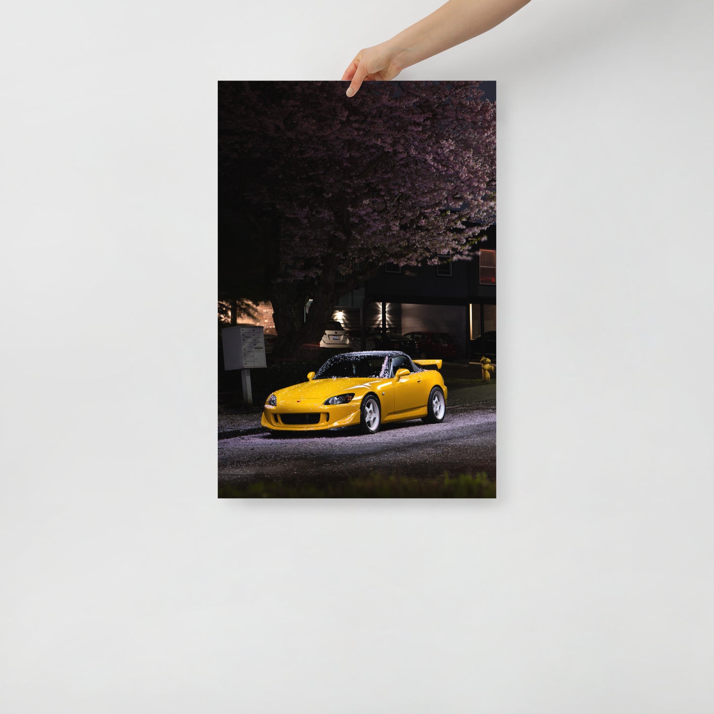 S2000 Cherry Blossom Print