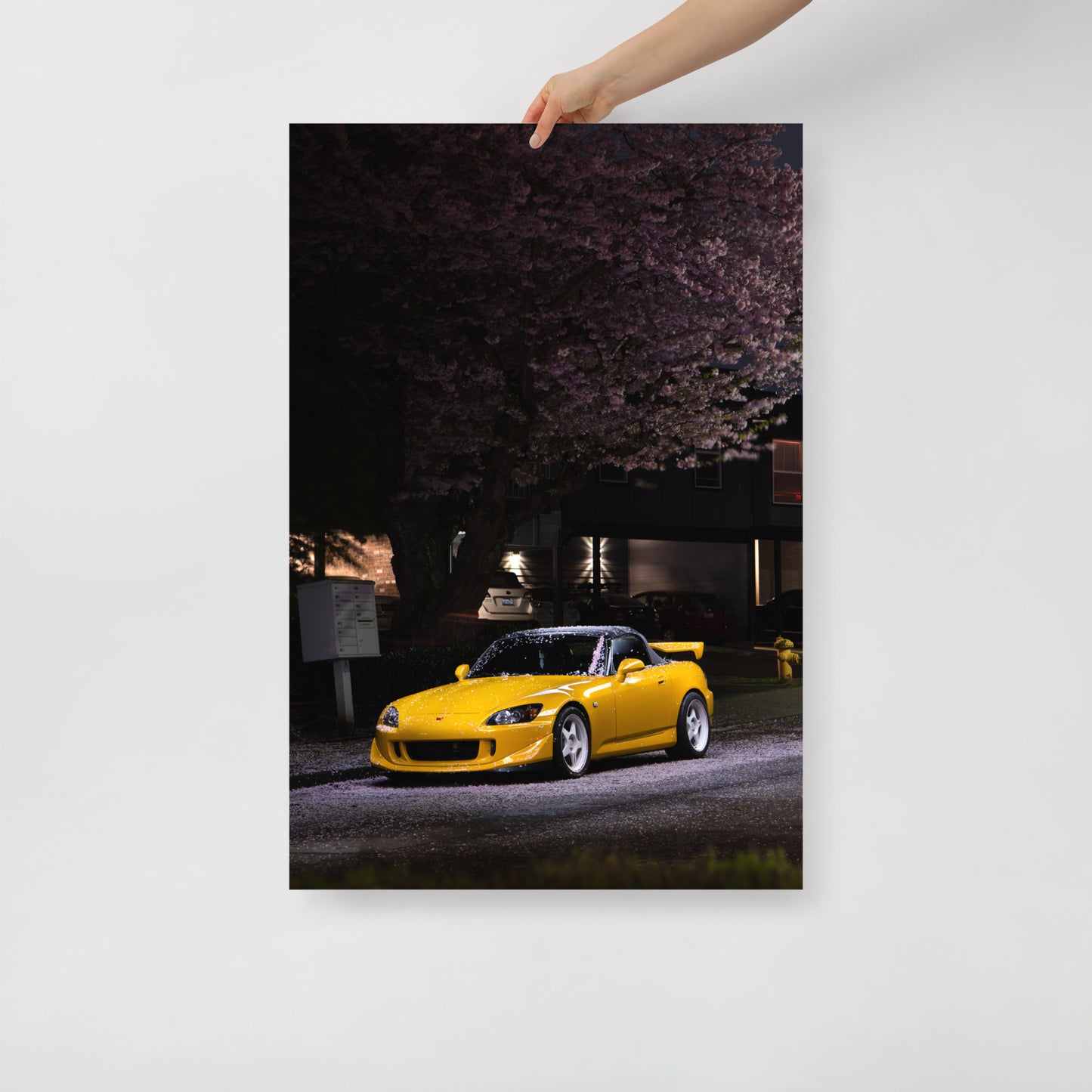 S2000 Cherry Blossom Print