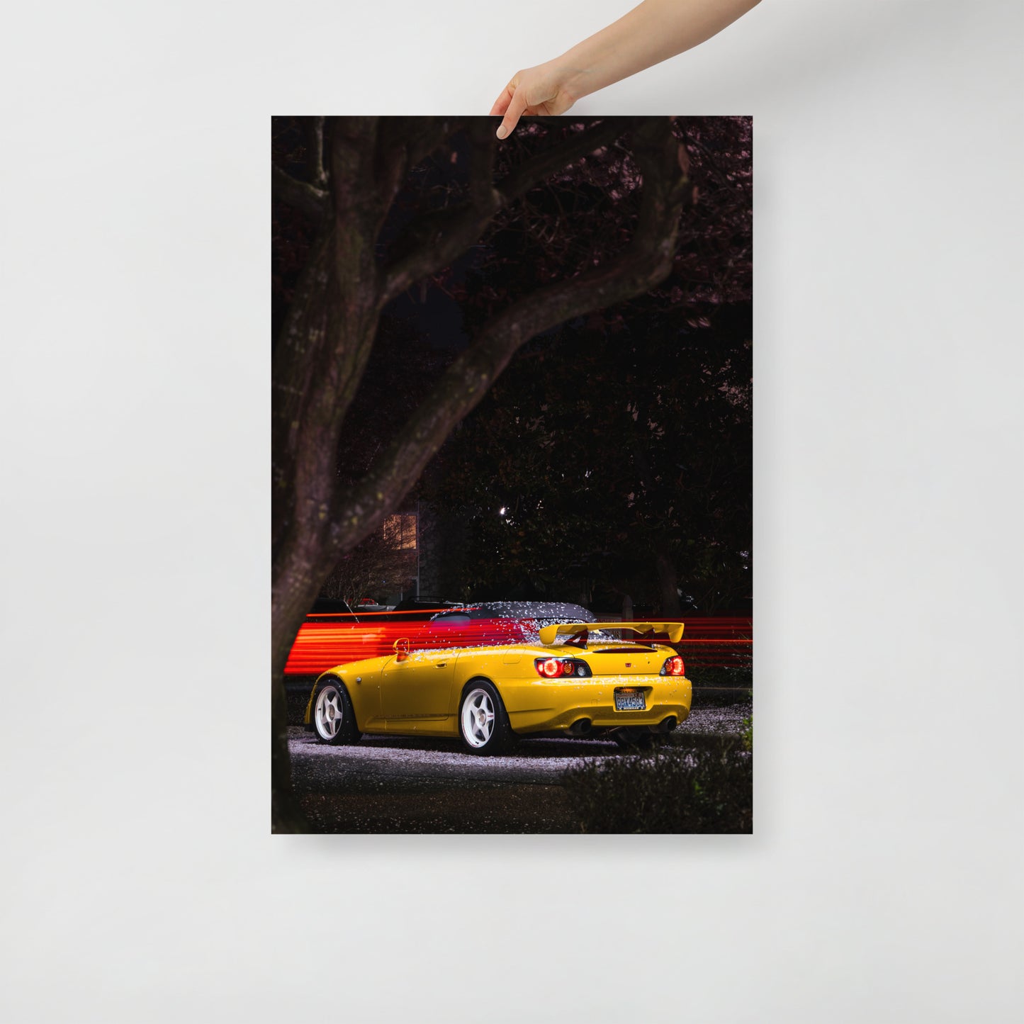 S2000 Cherry Blossom Print